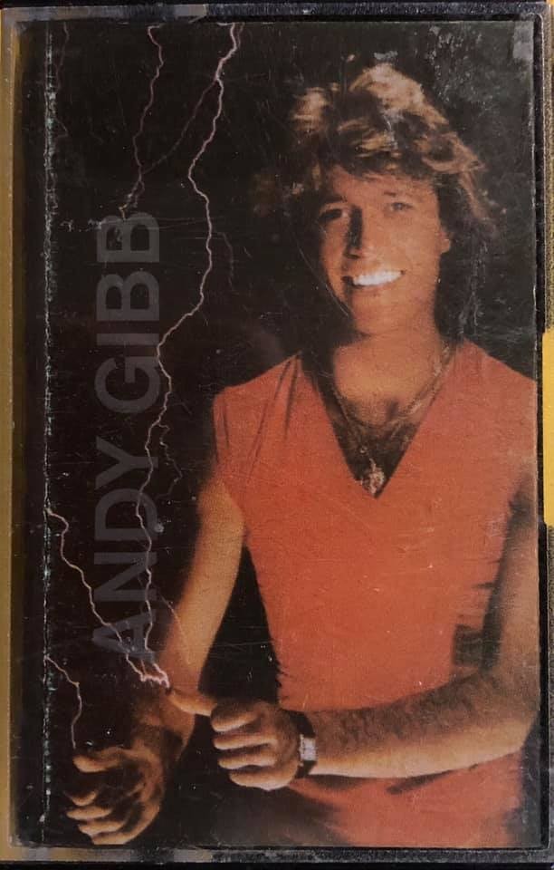 Andy GIBB. After Dark