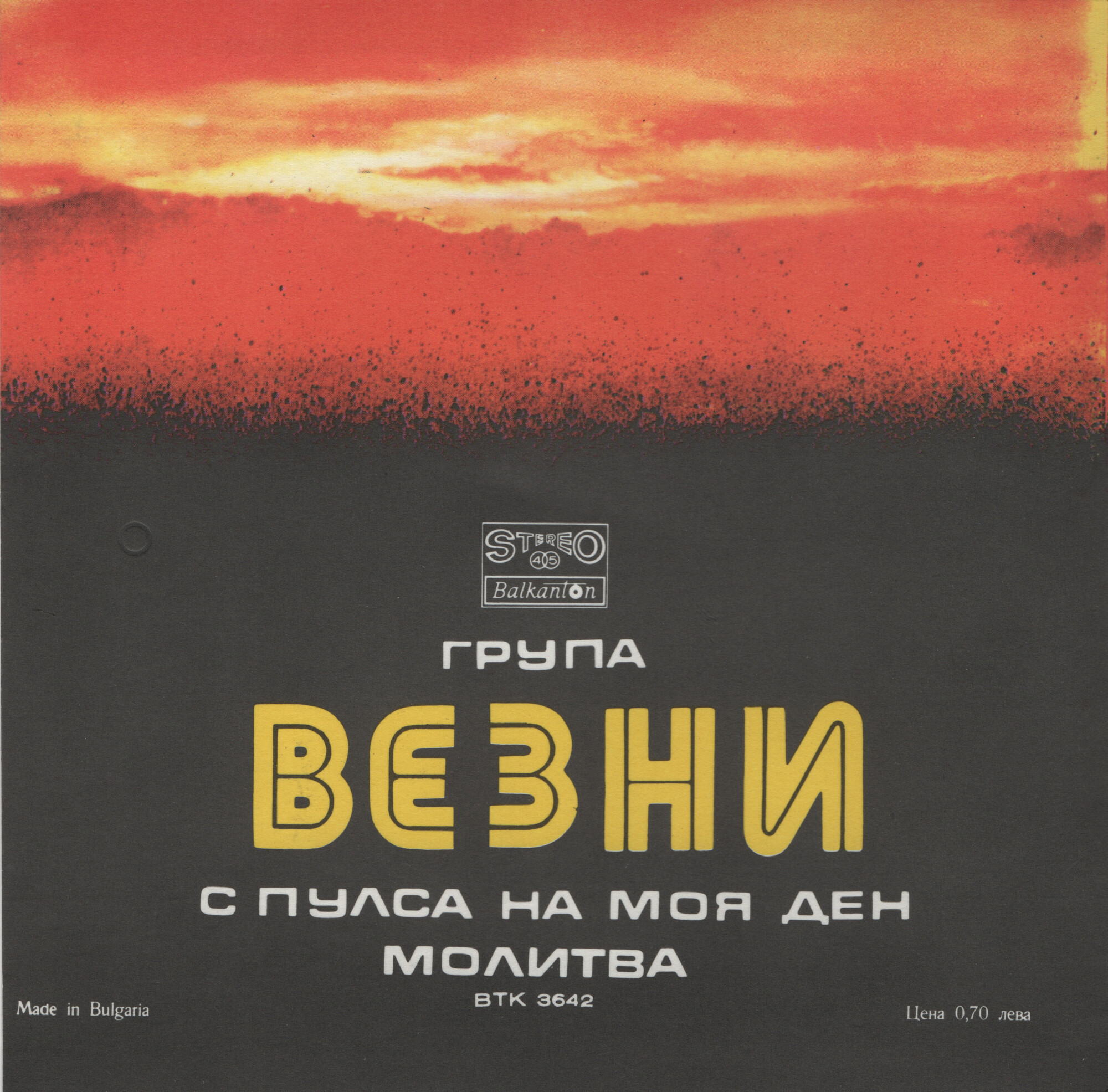 ВИГ "Везни"